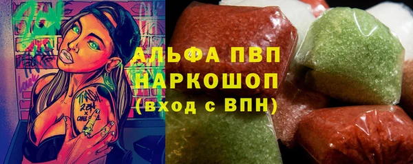 индика Баксан